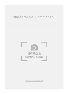 Blaeserskole, Sammenspil